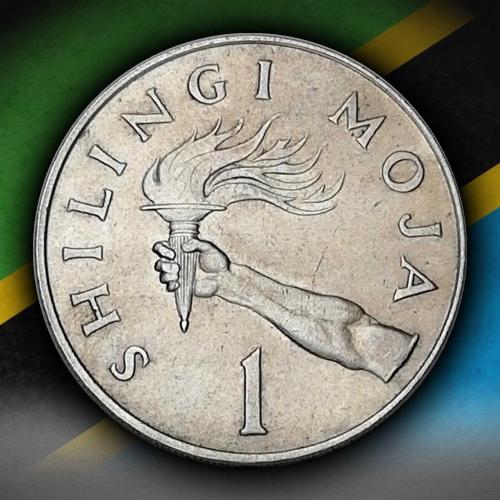 Tanzanya 1966 Yılı 1 Shilling ÇİLALTI