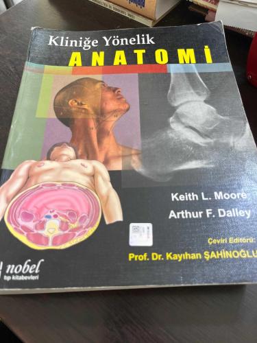 Kliniğe yönelik anatomi
