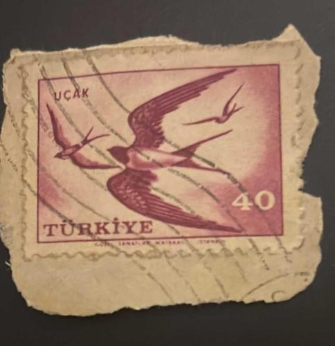 Türk Pulu - Turkish Stamp - Mektup Zarfından Kesilmiş / Postadan Geçmiş Pul Filateli -  DAMGALI - KIRLANGIÇ KUŞLARI TEMALI PUL,  40 PARA - Türkiye Cumhuriyeti - NOSTALJİK DOĞUM GÜNÜ HEDİYESİ