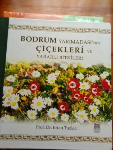 Bodrum Yarımadası'nın Çiçekleri ve Yararlı Bitkileri