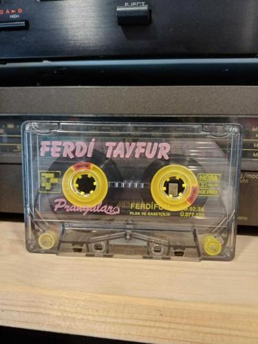 FERDİ TAYFUR PRANGALAR