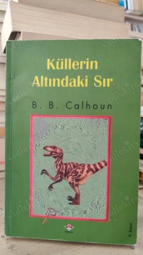 KÜLLERİN ALTINDAKİ SIR
