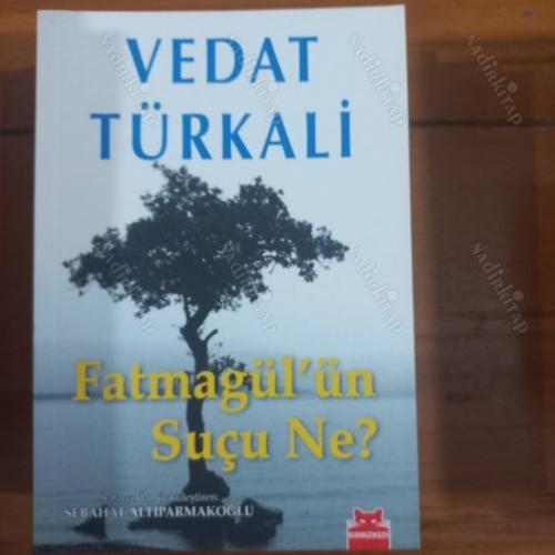 Fatmagül'ün Suçu ne?