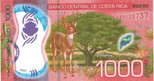 KOSTA RİKA 1000 COLONES 2019 POLYMER, P#280a, ÇİL, ESKİ YABANCI KAĞIT PARA