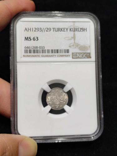 Sultan Abdülhamit 1293/29 Gümüş 1 Kuruş Çil