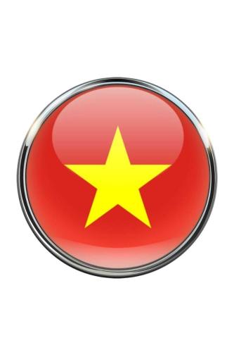 Vietnam Vietnamese Ülke Bayrağı Paslanmaz Çelik Pin 3D Yuvarlak Camlı Rozet
