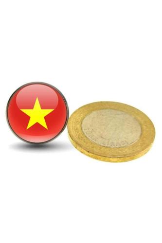 Vietnam Vietnamese Ülke Bayrağı Paslanmaz Çelik Pin 3D Yuvarlak Camlı Rozet