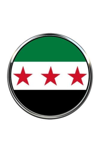 Özgür Suriye Syria 3 Yıldızlı Ülke Bayrağı Çelik Pin 3d Yuvarlak Büyüteç Camlı Rozet