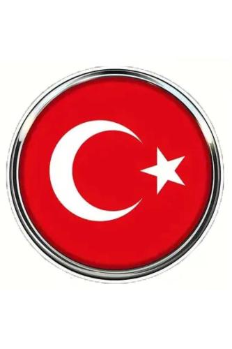 Türkiye (Turkey) Bayrak Rozeti - Paslanmaz Çelik Yuvarlak Yaka Rozeti