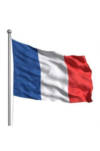 Fransa (France) Bayrak Rozeti - Altın Kaplama Ufak Yaka Rozeti