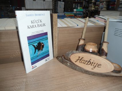 KÜÇÜK KARA BALIK
