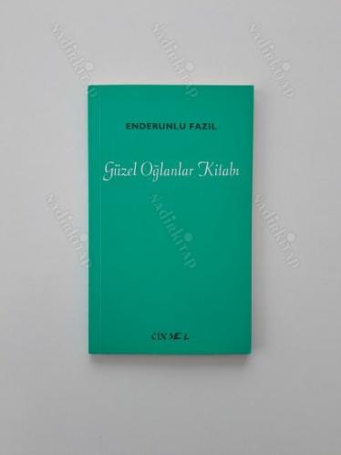 Güzel Oğlanlar Kitabı