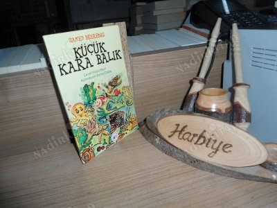 KÜÇÜK KARA BALIK