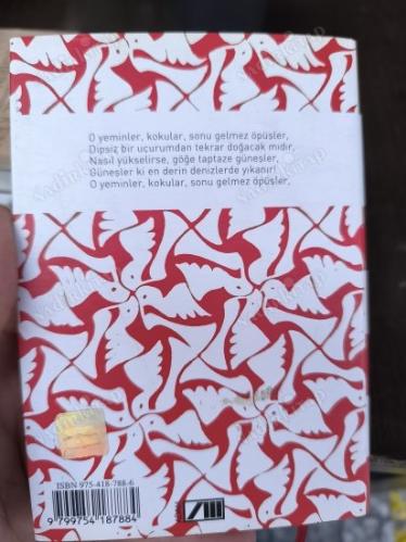 Sonu Gelmez Öpüşler [Ciltli Şömizli]