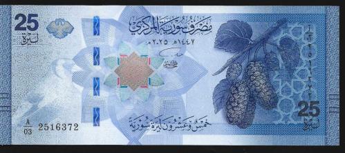 ** SURİYE ( 25 * POUNDS ) 2025 - ÇİL