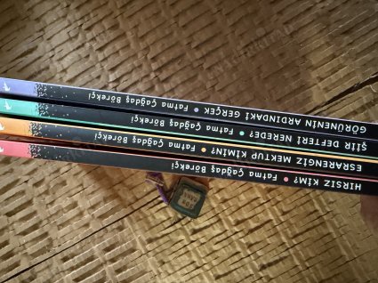 Tuz Dedektifleri 4 kitap