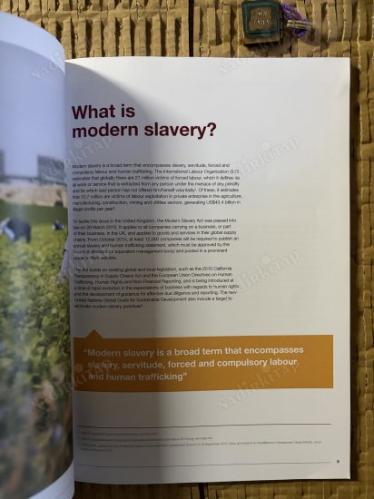 Corporate approaches to addressing modern slavery in supply chains