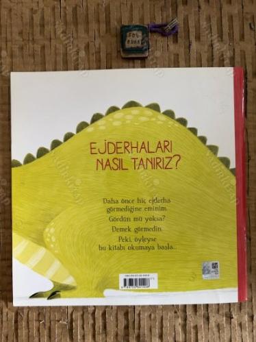 Ejderhaları Nasıl Tanırız?