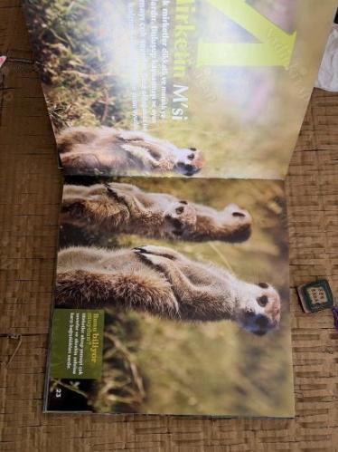 National Geographic Kids Hayvan Alfabesi