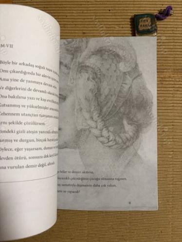 Michelangelo Bütün Şiirleri (Kitap, özel tasarımdır. Michelangelo'nun desenlerini de kapsar.)