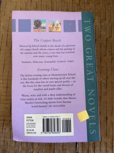 TWO GREAT NOVELS: THE COPPER BEECH & EVENING CLASS