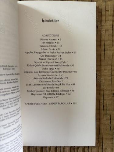 Adasız Deniz ve Aperatifler - Defterden Parçalar