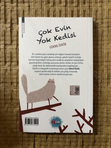Çok Evin Yok Kedisi