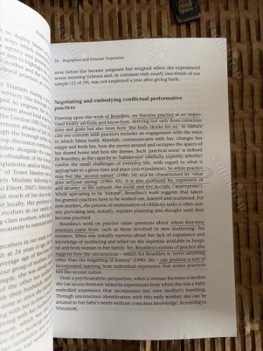 Theorizing Identites and Social Action