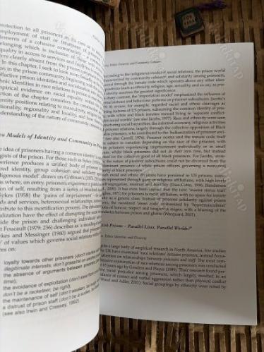 İdentity Ethnic Diversity and Community Cohesion