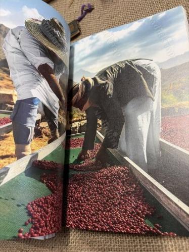 Topraktan Fincana Kahve - Fincandan Lezzete Kahve (2 kitap takım)