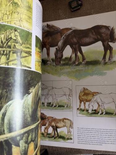 Horses-Leonardo Collection-Let us paint 6