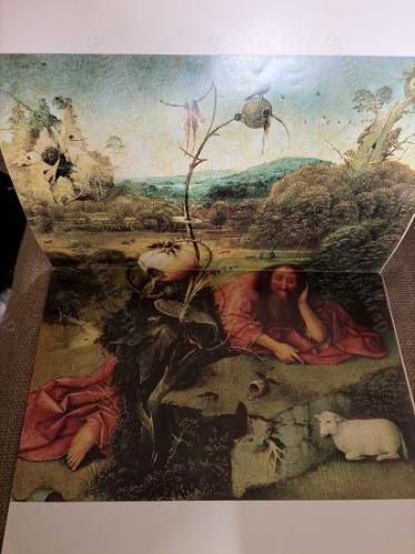 Hieronymus Bosch - I Maestri Del Colore 93