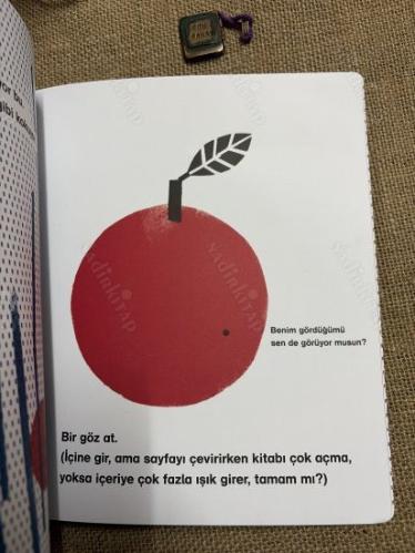Bu Ses de Ne?