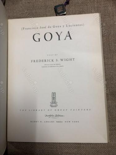 GOYA (BÜYÜK BOY)