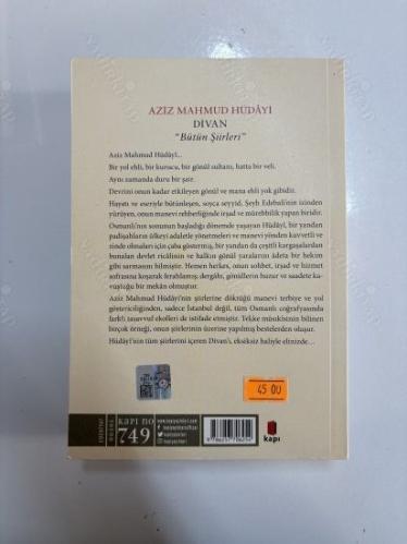 Divan Bütün Şiirleri
