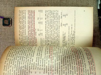 Doğu Anadolu'nun Düzeni : Sosyo-Ekonomik ve Etnik Temeller