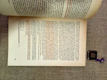 Tanzimat Dönemi Osmanlı Sanayii ve Sanayileşme Politikası