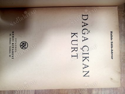 Dağa Çıkan Kurt