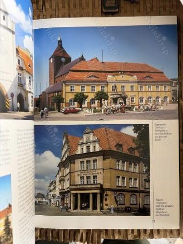 POLEN