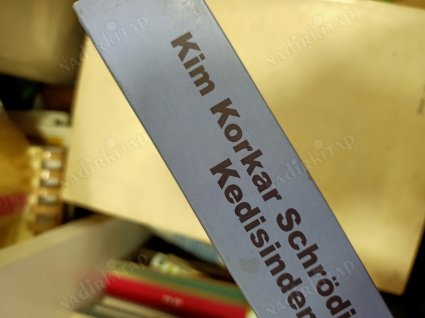 Kim Korkar Schrödinger'in Kedisinden A'dan Z'ye Yeni Bilimin Kılavuzu
