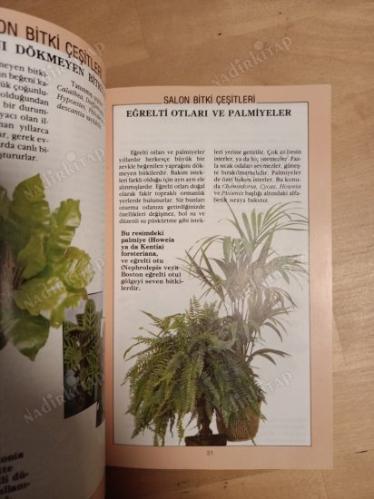 SALON BİTKİLERİ