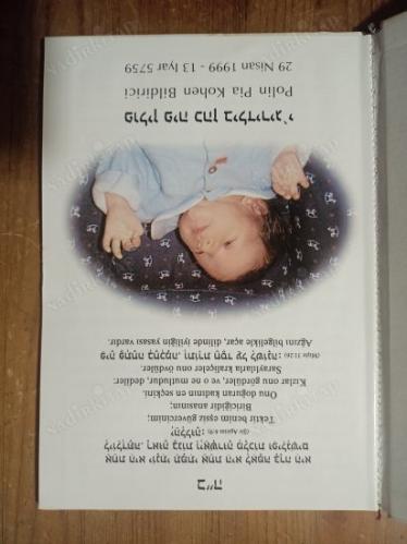 Tanrım Neredesin -Küçük Polin Pia'dan Tüm Arkadaslarına