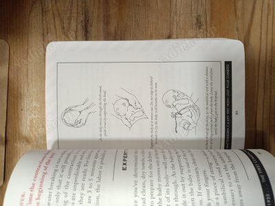 The Worst-Case Scenario Book Of Survival Questions