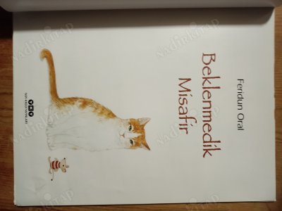 Beklenmedik Misafir