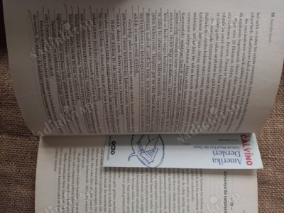 Naziliğin İçyüzü