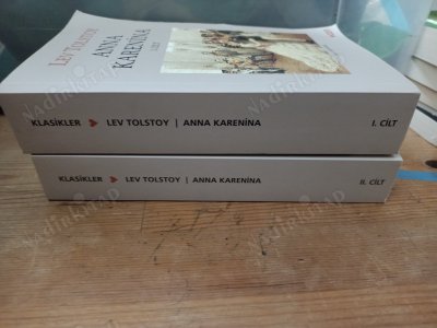 Anna Karenina, 2 Cilt Takım