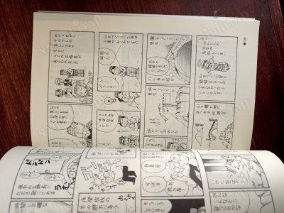 Japonca Türkiye gezi rehberi