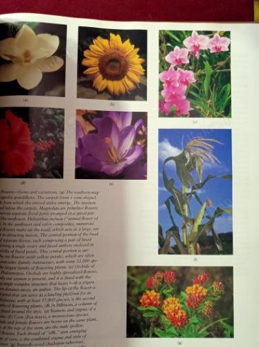 Invitation to Biology - Fifth Edition