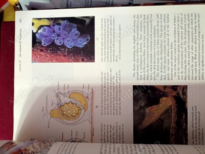 Invitation to Biology - Fifth Edition