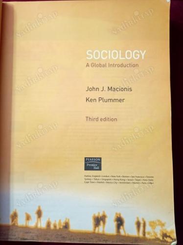Sociology : A Global Introduction (Third Edition)